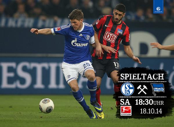 FC Schalke 04 tweet media