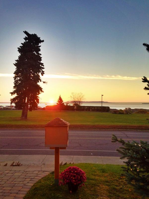 FinnsLibrary's tweet image. Watching the #sunrise with #FinnsLittleFreeLibrary #TBay #LittleFreeLibrary #LTL #amreading #books