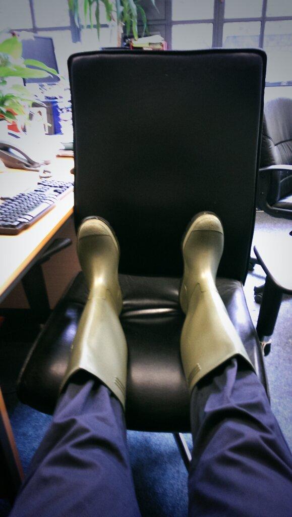 Embedded image permalink