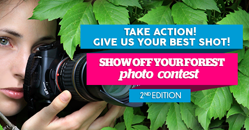 FORESTEUROPE's tweet photo. Now open the second edition of the Show Off Your Forest photo contest. Join the competition! http://t.co/yCbJffYzbz http://t.co/kD6a7fhF3i