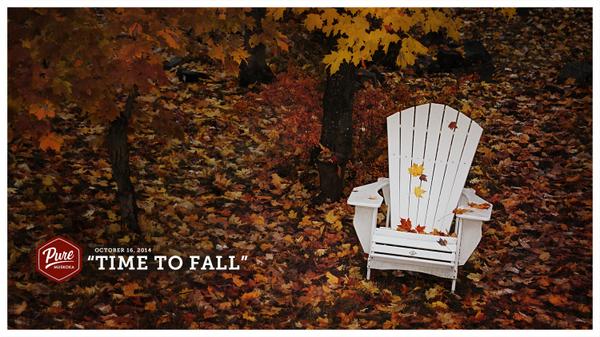 PureMuskoka's tweet photo. The leaves are really starting to cover the ground in #Muskoka now. #PureMuskoka - http://t.co/10GuQqCZPS