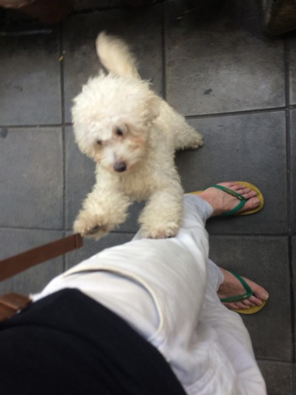 Embedded image permalink