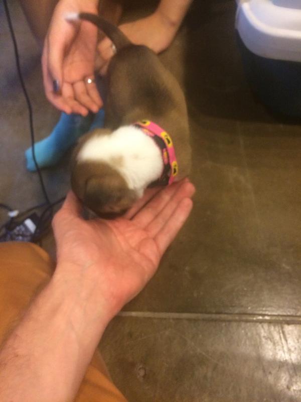 Embedded image permalink