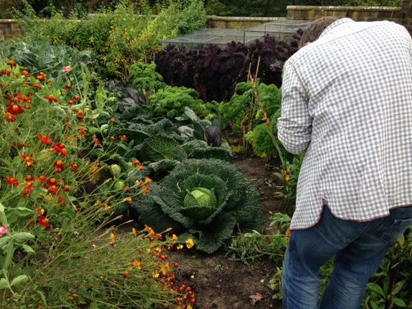 IPaddress87's tweet photo. .@noelmurphy69 and the Giant Cabbage @GravetyeManor http://t.co/wzrqviUV3T