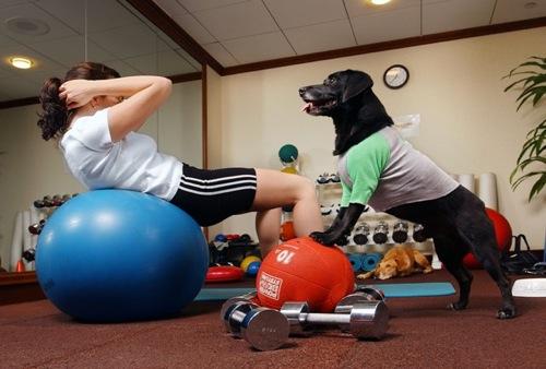 #TodoBienHastaQue tu perro decide que necesitas hacer más ejercicio 🐶 - ¡en realidad es la mejor compañía para ello!