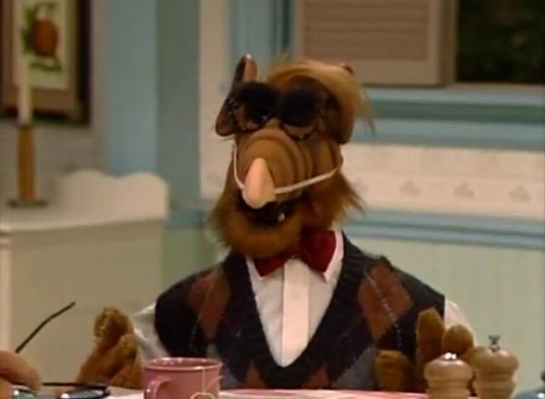 retronewsnow on twitter this is my halloween costume im gene shalit too obscure alf october 1987 episode httptcozfcull0bna - Alf Halloween Episode retronewsnow on twitter this is my halloween costume im gene shalit too obscure alf october 1987 episode httptcozfcull0bna - Alf Halloween Episode