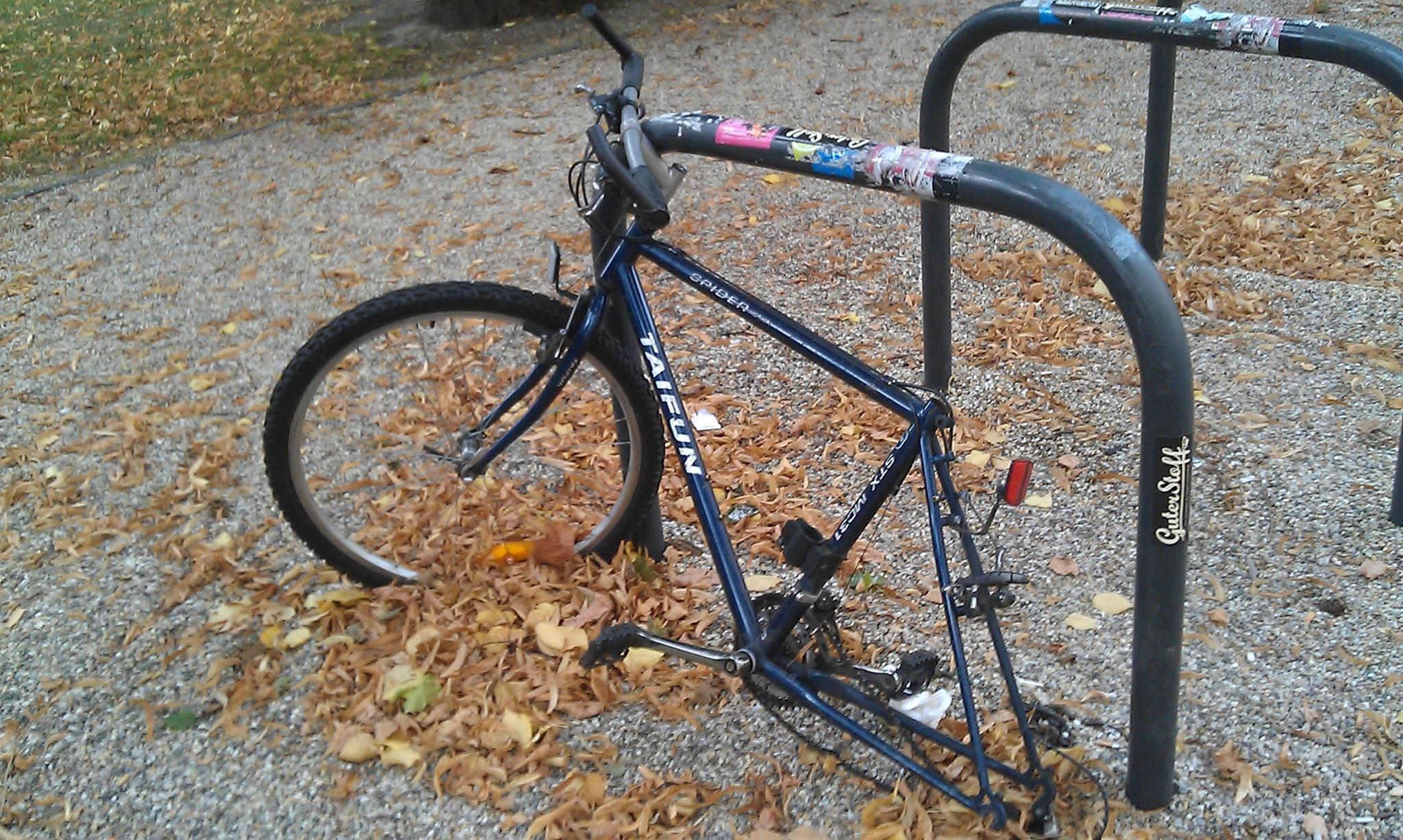 Embedded image permalink