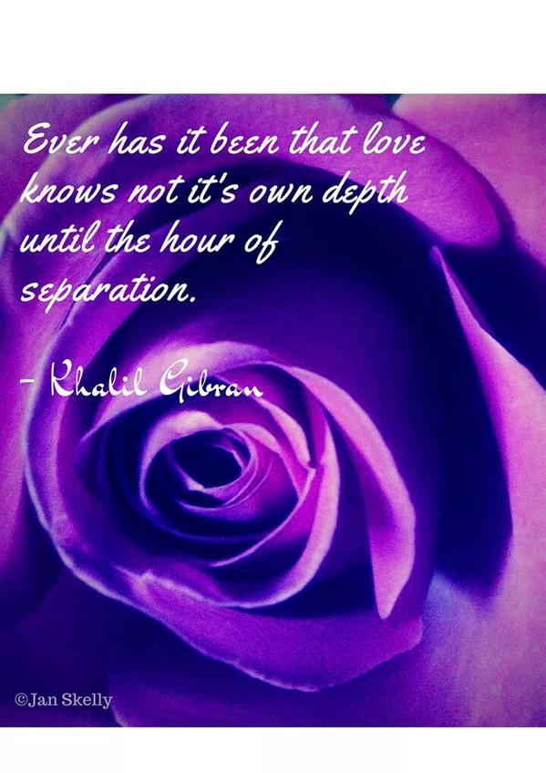B_1nspired's tweet photo. Ever has it been that love knows not it's own depth til the hour of separation. #KalilGibran #inspiredquotes #myphoto http://t.co/ue4DAJlzr0