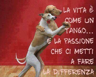 La passione ci vuole sempre !!👍👍