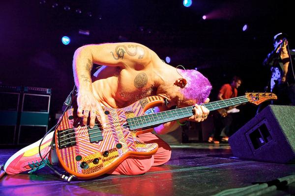 FranPittala's tweet image. #HappyBirthdayFlea