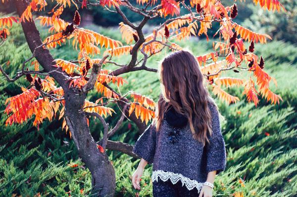 zxcvbnmsummer's tweet photo. autumn <3 http://t.co/1MFpwjeNqr