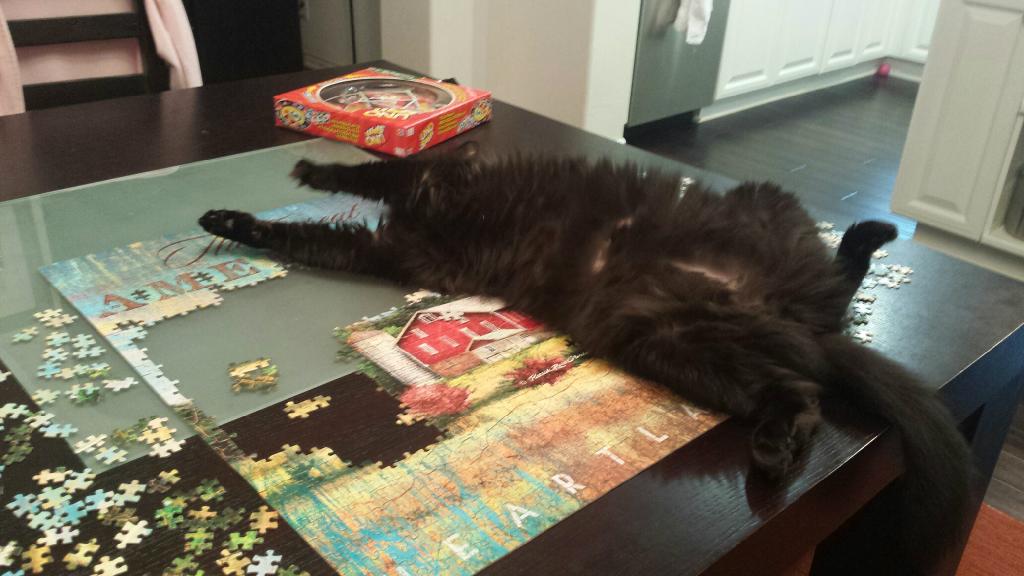 Embedded image permalink