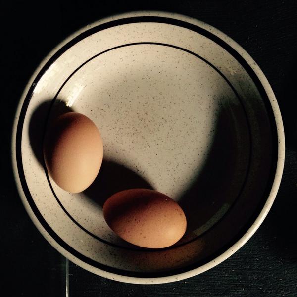 LizWestStudio's tweet photo. A simple life as artist in residence @merzbarn. Kurt Schwitters omelette anyone? @Tate @Moma http://t.co/qoGpfghv20