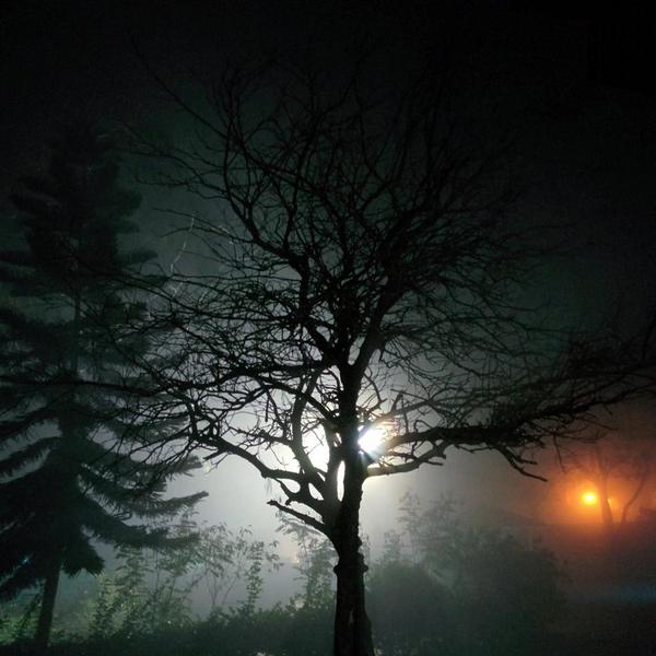 Not sure if this place is beautiful or scary. Staying the night at Horsley hills. #nofilter <a href="/Mission10000KM/">Mission 10000 KM</a>