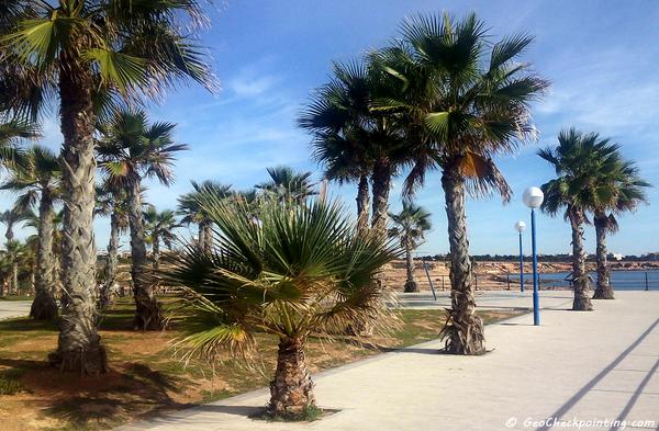 GeoCheckpoint's tweet image. Behind this stunning palm park in Orihuela Costa, Spain, is located a GeoCheckpoint called "Reloj de sol" (sundial).