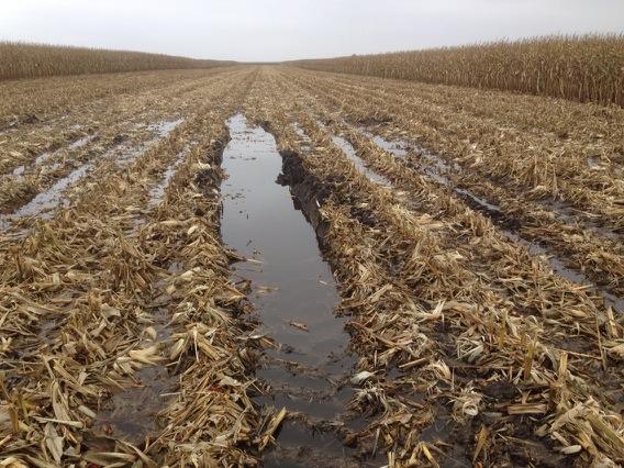 Jaminring's tweet photo. Cutting ruts before the rain. Now it's just a mess #harvest14 #moretile http://t.co/HCWLTz5r3H