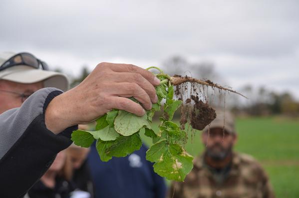 LegacySeedsInc's tweet photo. @LegacySeedsInc teamed up with ADM for a Cover Crop Plot Tour today in Waupaca, WI with @PlantCoverCrops Dave Robison http://t.co/sglOwBDYba
