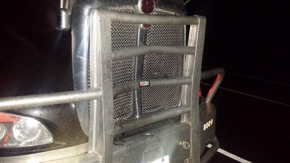 #aliarc #protectionbumpers protect your Truck in the event of a animal collision? this is after a moose hit.