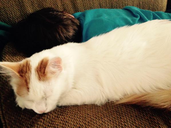 Christy Janson (@christyj313) on Twitter photo 