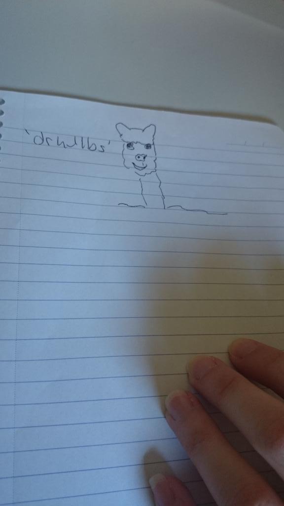 heuxday's tweet photo. Spirit animal day, class roll 11 @KJTF11B @RDVF11B @SJF11B @ASF12A @HSF11B @STH14A @BHLF11A @EMF12B @ARTS2091 #alpaca http://t.co/3GWJivVYHs