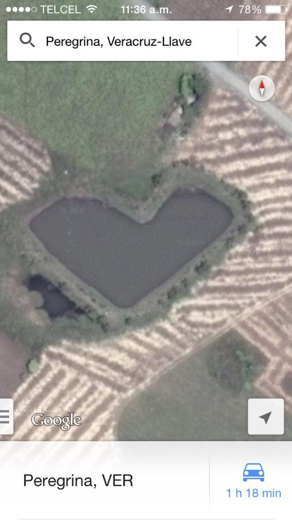 Victor Marini tweet media