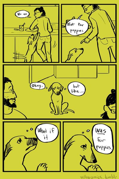 NoNamePup's tweet photo. @pupwagger When pups want to top http://t.co/WhEJTk2g6a