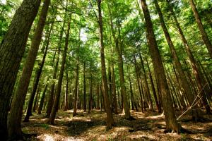 AmericanLW's tweet photo. Global warming not to blame for this environment change.  http://t.co/IniHarUs5L http://t.co/20NT1xtjcG