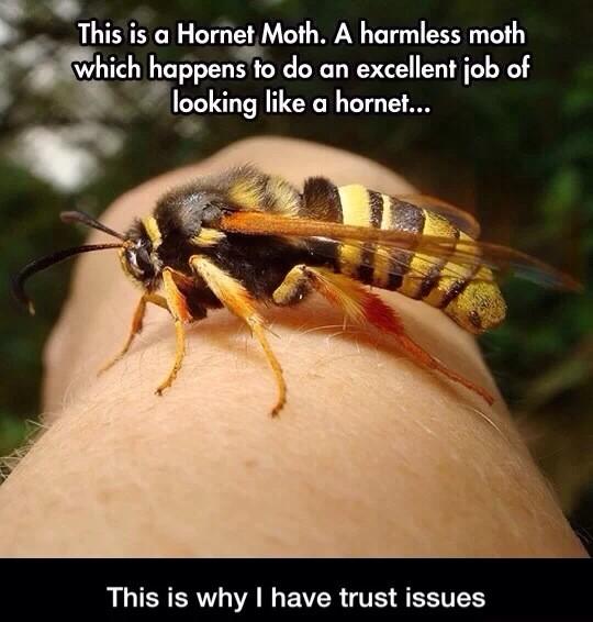 funny_tweets's tweet photo. True Dat! http://t.co/G56hgzJhq3