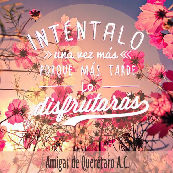 AmigasdeQro's tweet photo. Hoy es jueves de hacer intentos. #OctubreRosa #Vive http://t.co/jc2Db6ERpR
