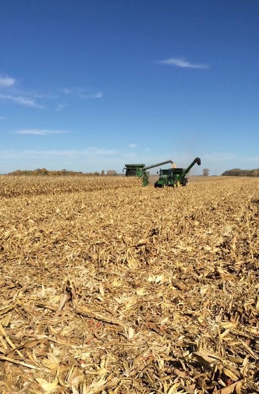 WFSCooperative's tweet photo. #harvest14 dropping off lunches to our farmers #WFS_yield http://t.co/WLbfaL5IjZ