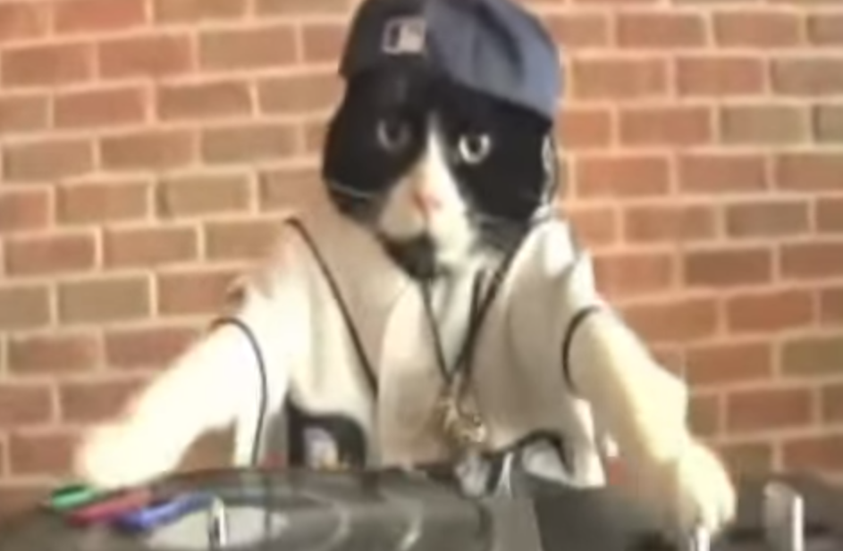 Embedded image permalink