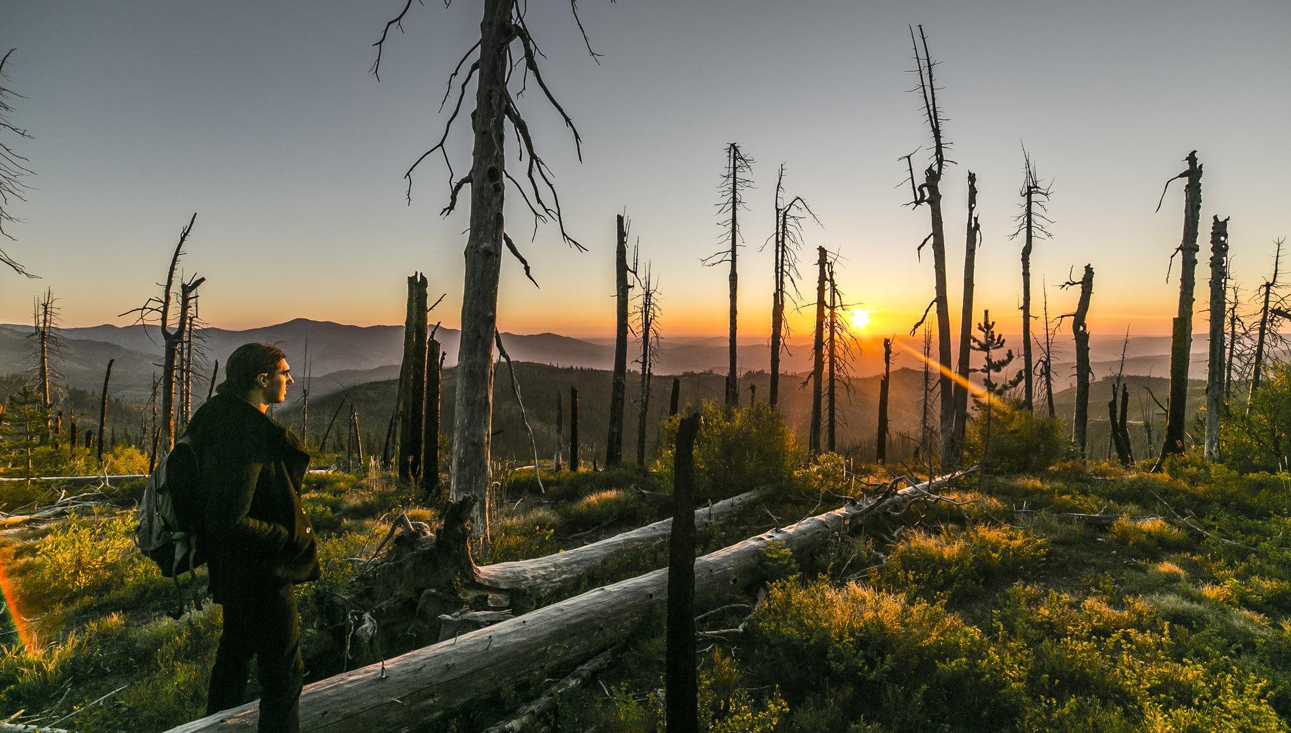Wenatchee World (Wenatcheeworld) Twitter