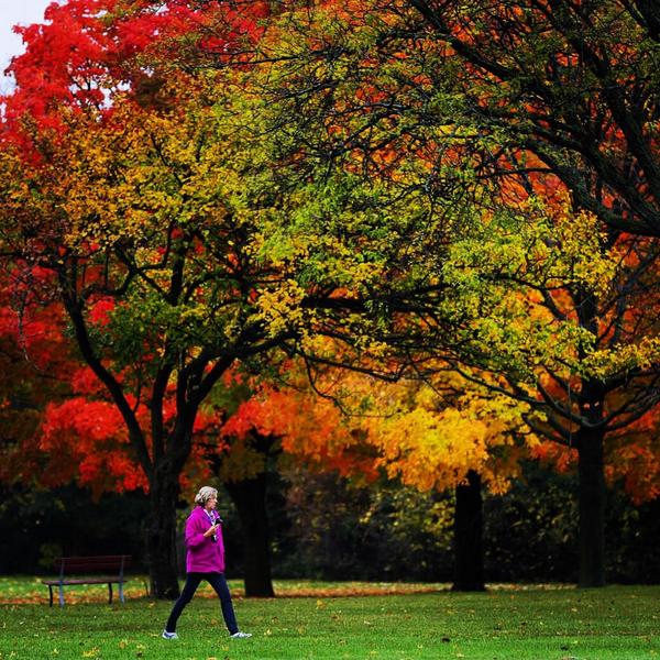mdesisti's tweet photo. A few more fall colors for ya. While they last. This is at Lincoln @CountyParks Glendale. #fall #mkeFall http://t.co/w8aicwi7u9
