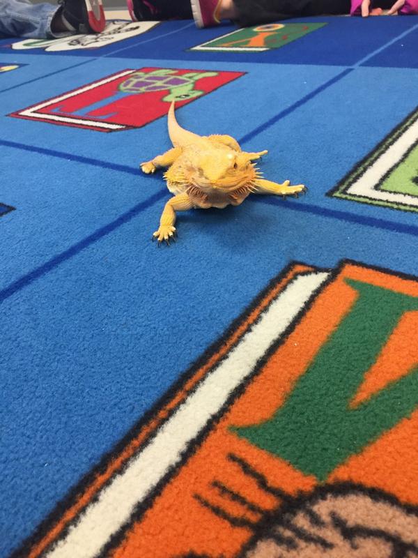 Karen Hoang tweet media