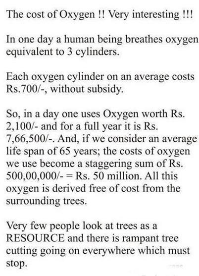tree cutting cost oak tree funny or fact on twitter tree cutting cost oak tree funny or fact on twitter