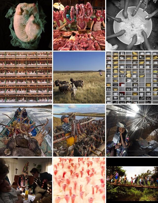 Embedded image permalink