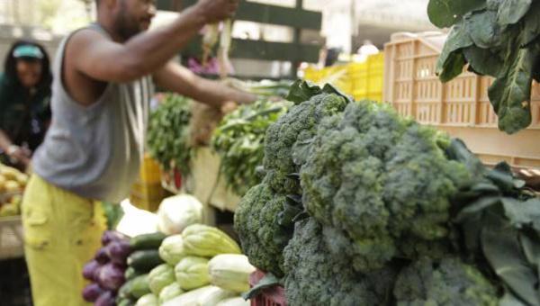 teleSURtv's tweet photo. FAO destaca avances de Bolivia y #Venezuela en materia alimentaria http://t.co/Xz6saGCJVd http://t.co/RGtkdXkme2