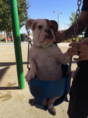 What I didn't mention was that we were going to an actual park. #sinner http://t.co/WdfObpYiwi<a href="/tag/sinner"class="tags"><span>#sinner</span></a>
