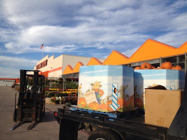 sapp_kyle's tweet photo. 200 pumpkins? No problem! Awesome, unique sale!  @ronniegravesii @THD_Roanoke_TX @TriciaRoss9 http://t.co/3gPreUJaAd