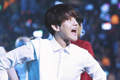 ByunBaekhyunID's tweet photo. [HD] 140921 Baekhyun #TLPBeijing © secret http://t.co/fYe7c5l5bz http://t.co/G3vXwqHHGQ http://t.co/OhVTZFecye http://t.co/nPKesLUrqz