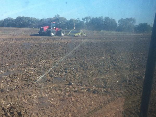 Scraping a 4 ha plot for a new #RRAPL variety trial #SunRice #rice