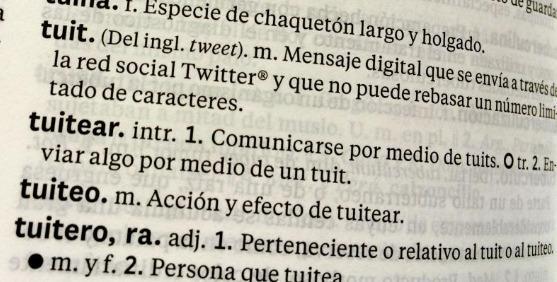 Webcams de México tweet media