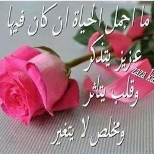 IslamRamazan's tweet photo. حبیب شخبارک http://t.co/3Sj6N6JoVb