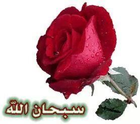 IslamRamazan's tweet photo. @sa7aral3ajmi http://t.co/UbDUrfod3R