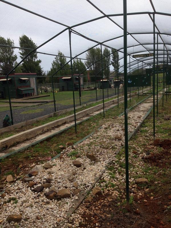 We've just moved into the farm at Burnie High and this is where we are going to start growing veg for veggie boxes