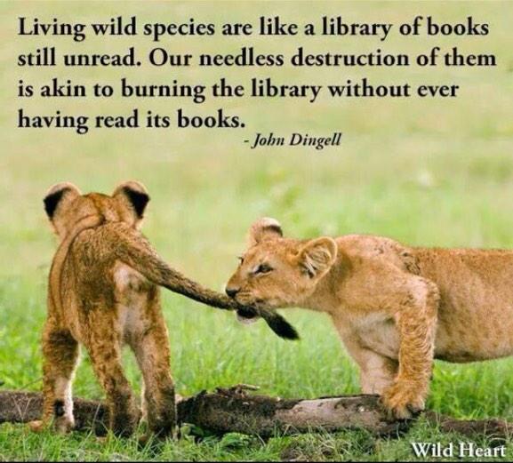 Skye_Lele's tweet photo. #FF
@Yvonne1317 
@PetraBentele 
@loridowney3 
@Hypolytaviola 
@Kvntco 
@shell19891989 
@Gr1zz7y 
@OpAnimals http://t.co/kG48aXK58Y