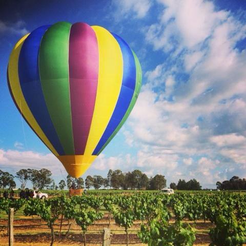 AltogetherP's tweet photo. A blast of colour from @BalloonAloft to say goodbye to the #HunterValley @PetersonHouse1 #AltogetherPerfect #APfamil http://t.co/des4MBgj95