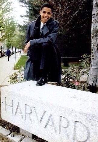 PresidentProbs's tweet image. Snap me up fam