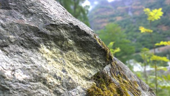 bAN01TgAZ's tweet image. orums.wpcentral.com/photo-contests… … taken at Flaam, Norway. #WPCpc #StreetWPC #NL1020 @wpcentral