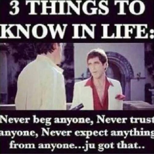 stephtc's tweet image. 